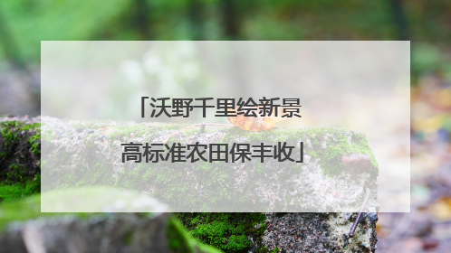 沃野千里绘新景 高标准农田保丰收