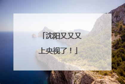 沈阳又又又上央视了！