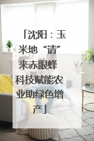 沈阳：玉米地“请”来赤眼蜂 科技赋能农业助绿色增产