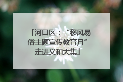 河口区：“移风易俗主题宣传教育月”走进义和大集
