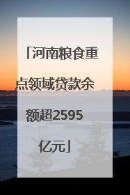 河南粮食重点领域贷款余额超2595亿元