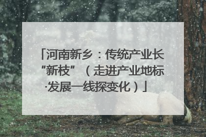 河南新乡：传统产业长“新枝”（走进产业地标·发展一线探变化）