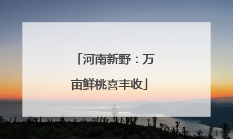 河南新野：万亩鲜桃喜丰收