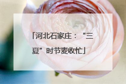 河北石家庄：“三夏”时节麦收忙