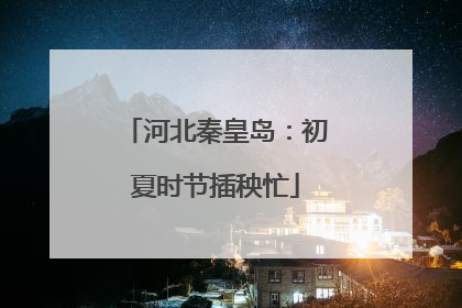 河北秦皇岛：初夏时节插秧忙