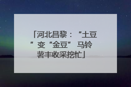 河北昌黎：“土豆”变“金豆” 马铃薯丰收采挖忙
