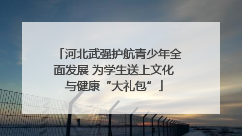 河北武强护航青少年全面发展 为学生送上文化与健康“大礼包”