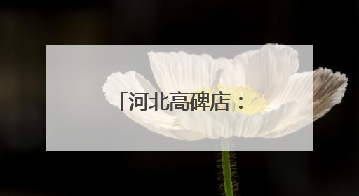 河北高碑店：兰沟洼蓄滞洪区工程建设忙