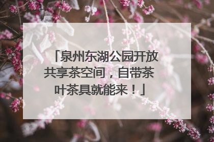 泉州东湖公园开放共享茶空间，自带茶叶茶具就能来！