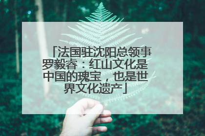 法国驻沈阳总领事罗毅睿：红山文化是中国的瑰宝，也是世界文化遗产