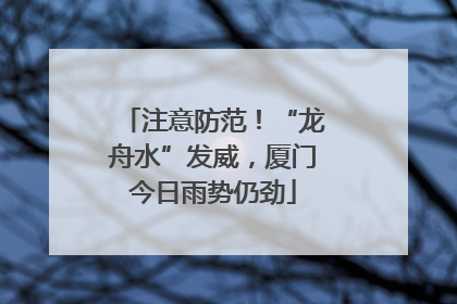 注意防范！“龙舟水”发威，厦门今日雨势仍劲
