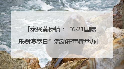 泰兴黄桥镇：“6·21国际乐器演奏日”活动在黄桥举办