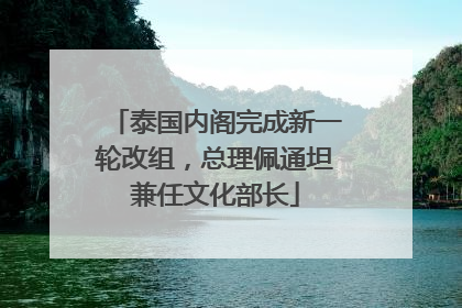 泰国内阁完成新一轮改组，总理佩通坦兼任文化部长