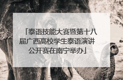 泰语技能大赛暨第十八届广西高校学生泰语演讲公开赛在南宁举办