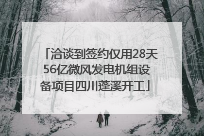 洽谈到签约仅用28天 56亿微风发电机组设备项目四川蓬溪开工