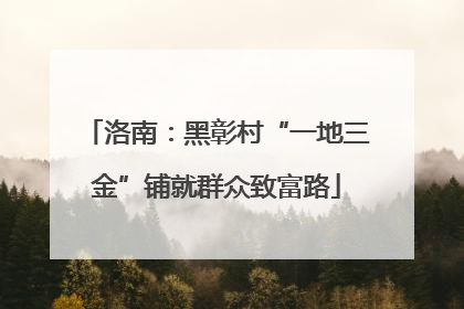 洛南：黑彰村“一地三金”铺就群众致富路