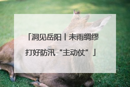 洞见岳阳丨未雨绸缪 打好防汛“主动仗”