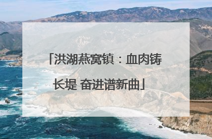 洪湖燕窝镇：血肉铸长堤 奋进谱新曲