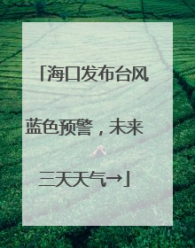 海口发布台风蓝色预警，未来三天天气→