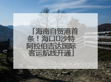 海南自贸港首条！海口⇌沙特阿拉伯吉达国际客运航线开通