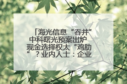 海光信息“吞并”中科曙光预案出炉 现金选择权太“鸡肋”？业内人士：企业不想大量现金流出