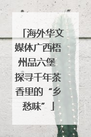 海外华文媒体广西梧州品六堡 探寻千年茶香里的“乡愁味”