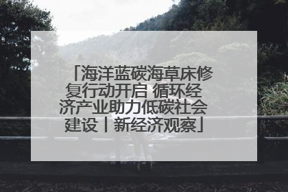 海洋蓝碳海草床修复行动开启 循环经济产业助力低碳社会建设丨新经济观察