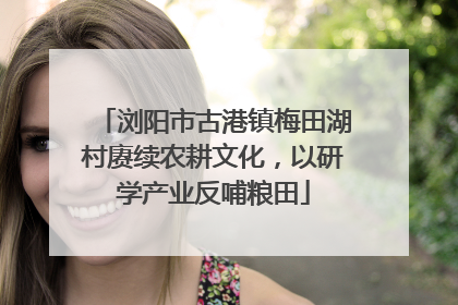 浏阳市古港镇梅田湖村赓续农耕文化，以研学产业反哺粮田