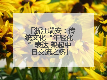 浙江瑞安：传统文化“年轻化”表达 架起中日交流之桥
