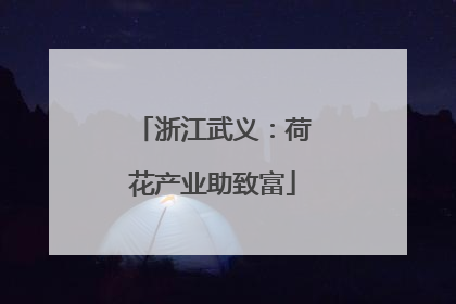 浙江武义：荷花产业助致富