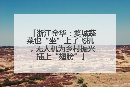 浙江金华：婺城蔬菜也“坐”上了飞机，无人机为乡村振兴插上“翅膀”