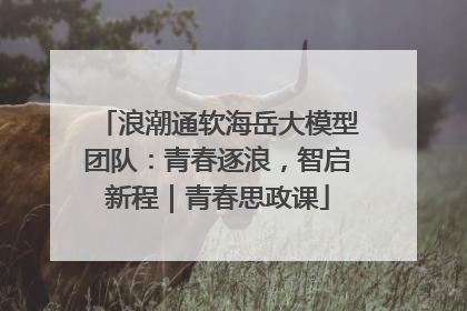浪潮通软海岳大模型团队：青春逐浪，智启新程｜青春思政课
