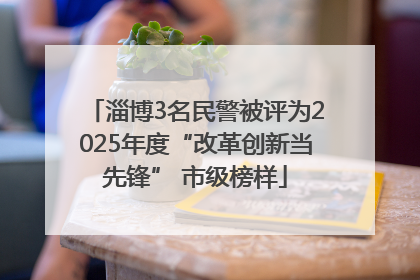淄博3名民警被评为2025年度“改革创新当先锋” 市级榜样