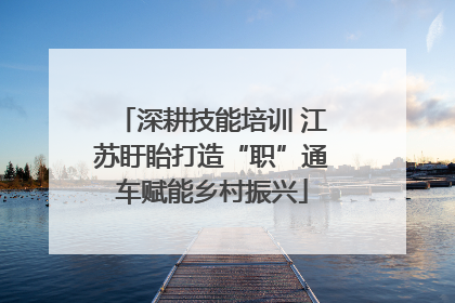 深耕技能培训 江苏盱眙打造“职”通车赋能乡村振兴