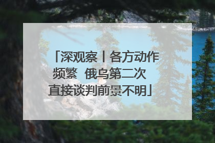 深观察丨各方动作频繁  俄乌第二次直接谈判前景不明