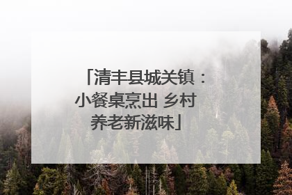 清丰县城关镇：小餐桌烹出 乡村养老新滋味