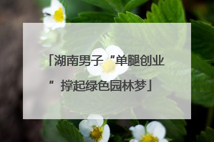 湖南男子“单腿创业”撑起绿色园林梦