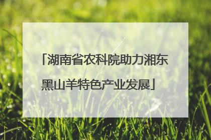 湖南省农科院助力湘东黑山羊特色产业发展