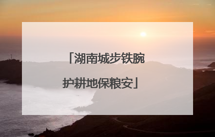湖南城步铁腕护耕地保粮安