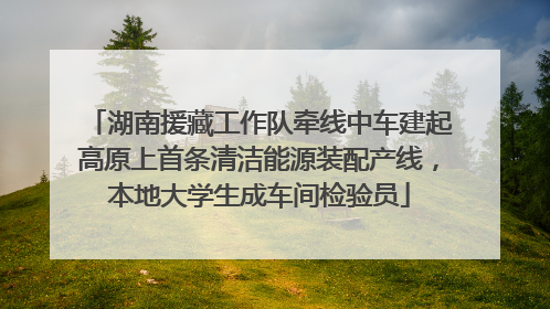 湖南援藏工作队牵线中车建起高原上首条清洁能源装配产线，本地大学生成车间检验员