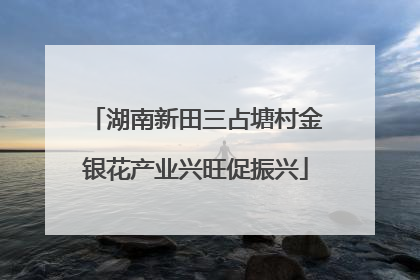 湖南新田三占塘村金银花产业兴旺促振兴