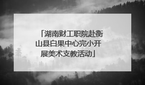 湖南财工职院赴衡山县白果中心完小开展美术支教活动