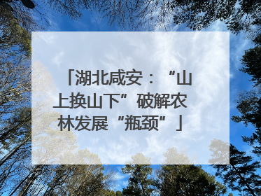 湖北咸安：“山上换山下”破解农林发展“瓶颈”