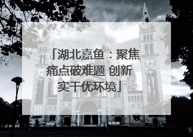 湖北嘉鱼：聚焦痛点破难题 创新实干优环境