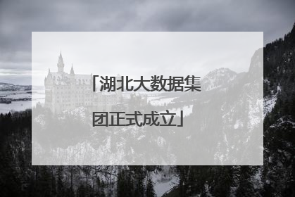湖北大数据集团正式成立