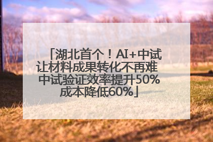 湖北首个！AI+中试让材料成果转化不再难 中试验证效率提升50%成本降低60%