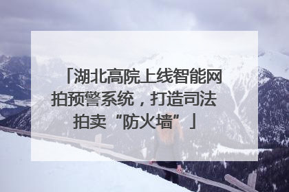 湖北高院上线智能网拍预警系统，打造司法拍卖“防火墙”