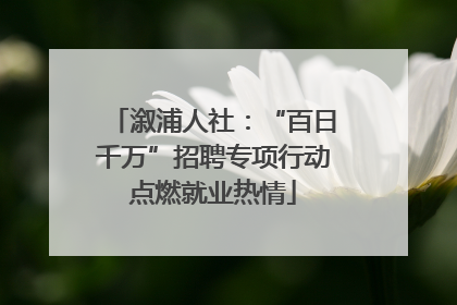 溆浦人社：“百日千万”招聘专项行动点燃就业热情