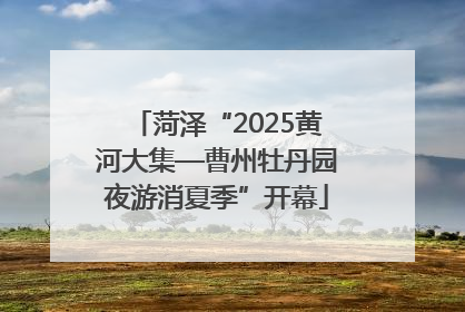 菏泽“2025黄河大集—曹州牡丹园夜游消夏季”开幕