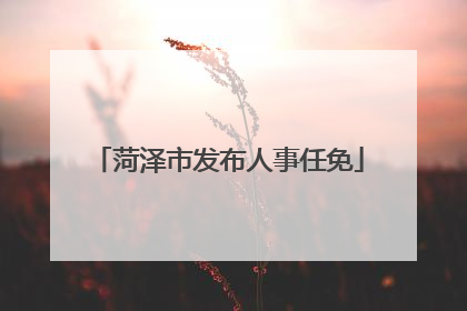 菏泽市发布人事任免